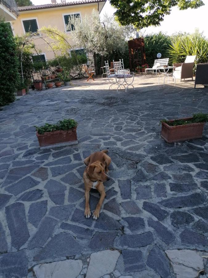 L'Uliveto Villa Montebuono  Exterior photo